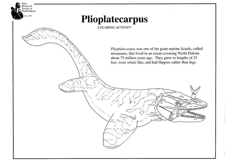 plioplatecarpo Disegno da colorare plioplatecarpo