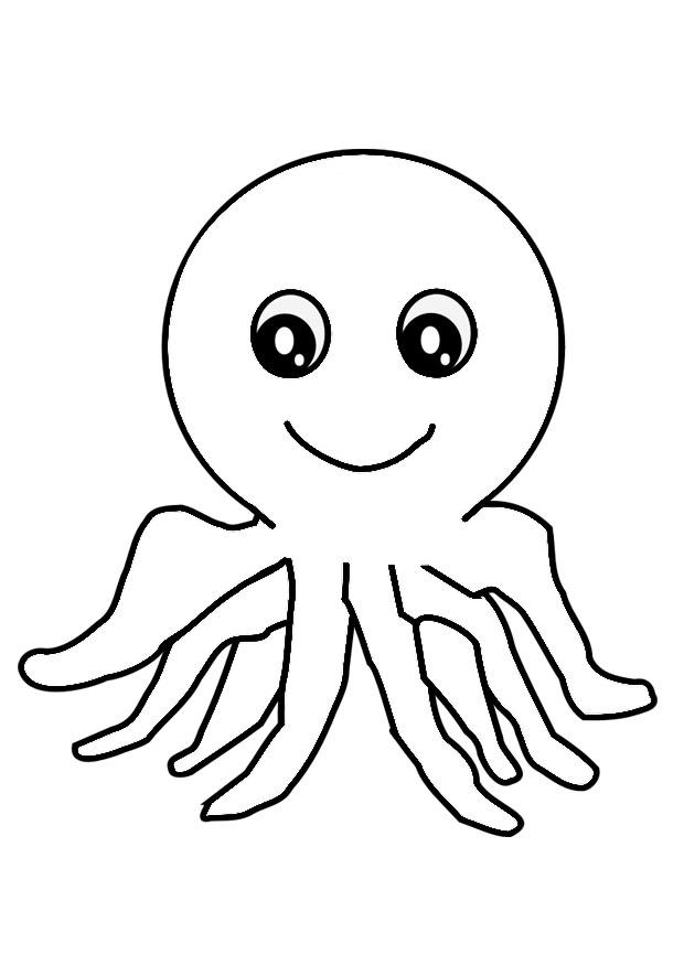 polpo Disegno da colorare polpo