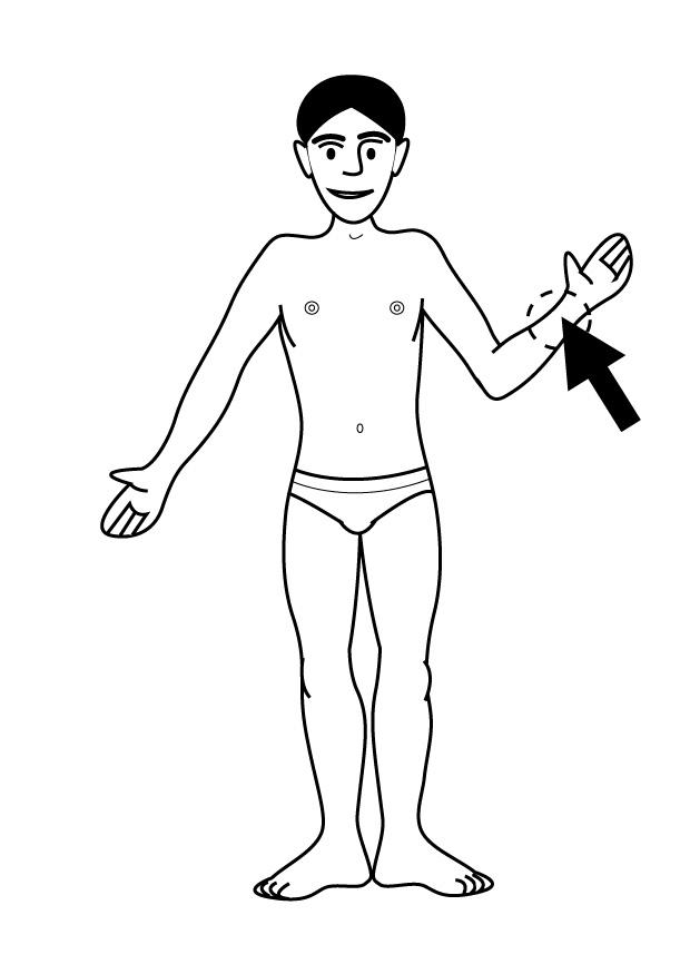 polso Disegno da colorare polso