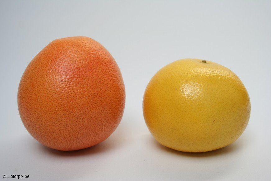 pomelo Foto pomelo