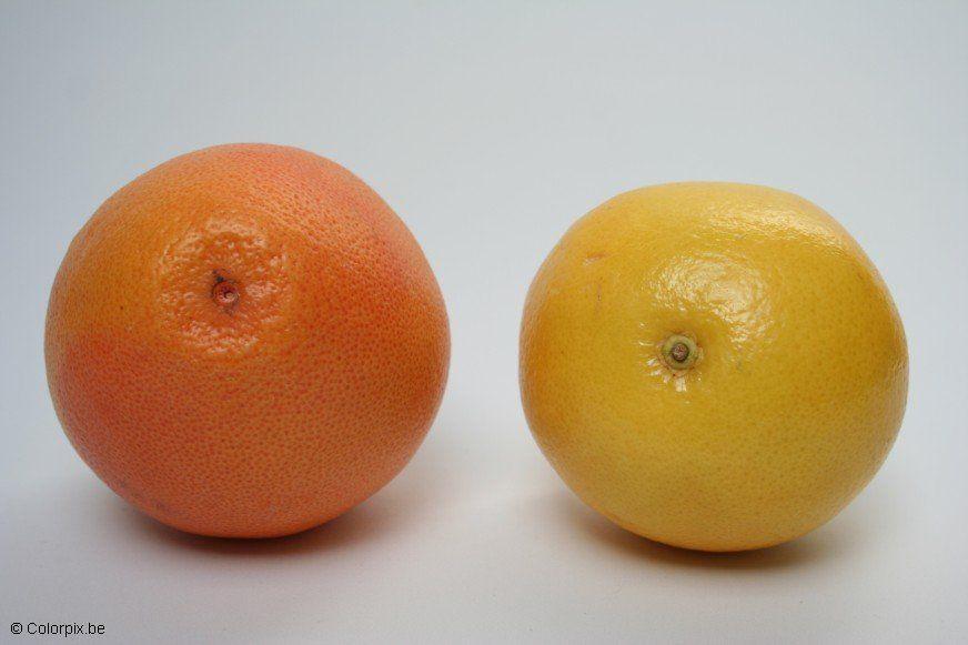 pomelo Foto pomelo
