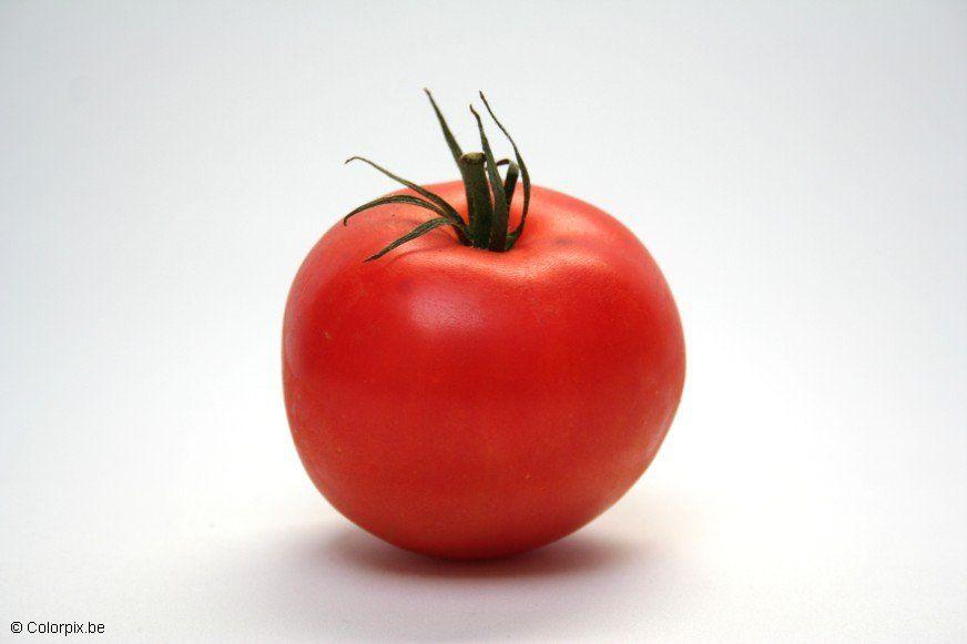 pomodoro Foto pomodoro