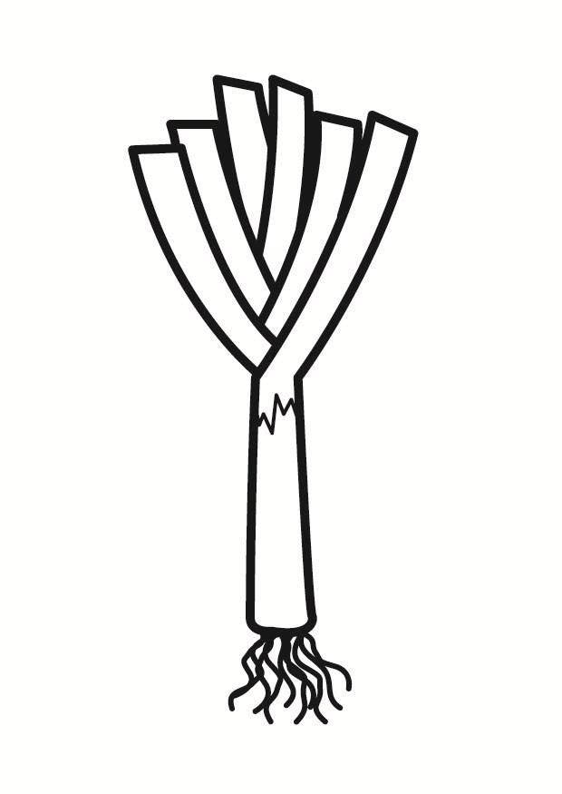 porro Disegno da colorare porro