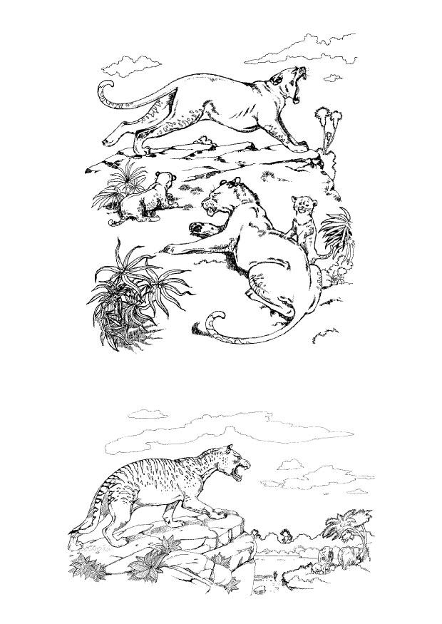 Disegno da colorare predatori