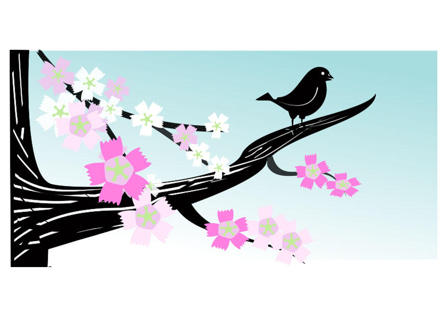 primavera immagine primavera