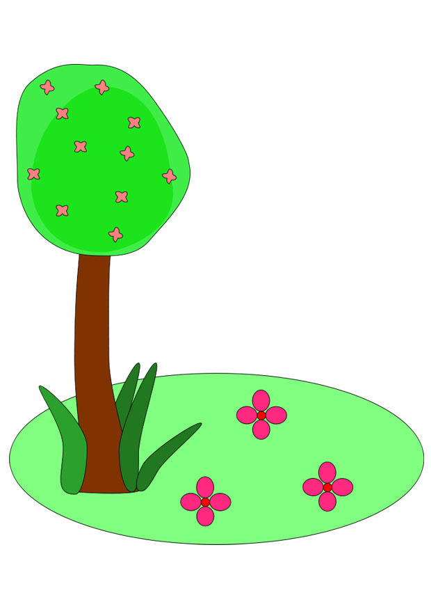 primavera immagine primavera