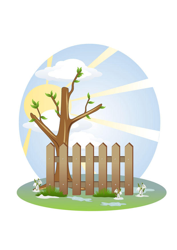 primavera immagine primavera