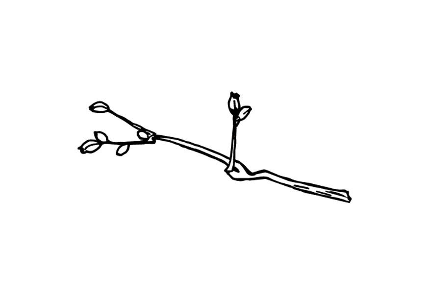 primavera Disegno da colorare primavera