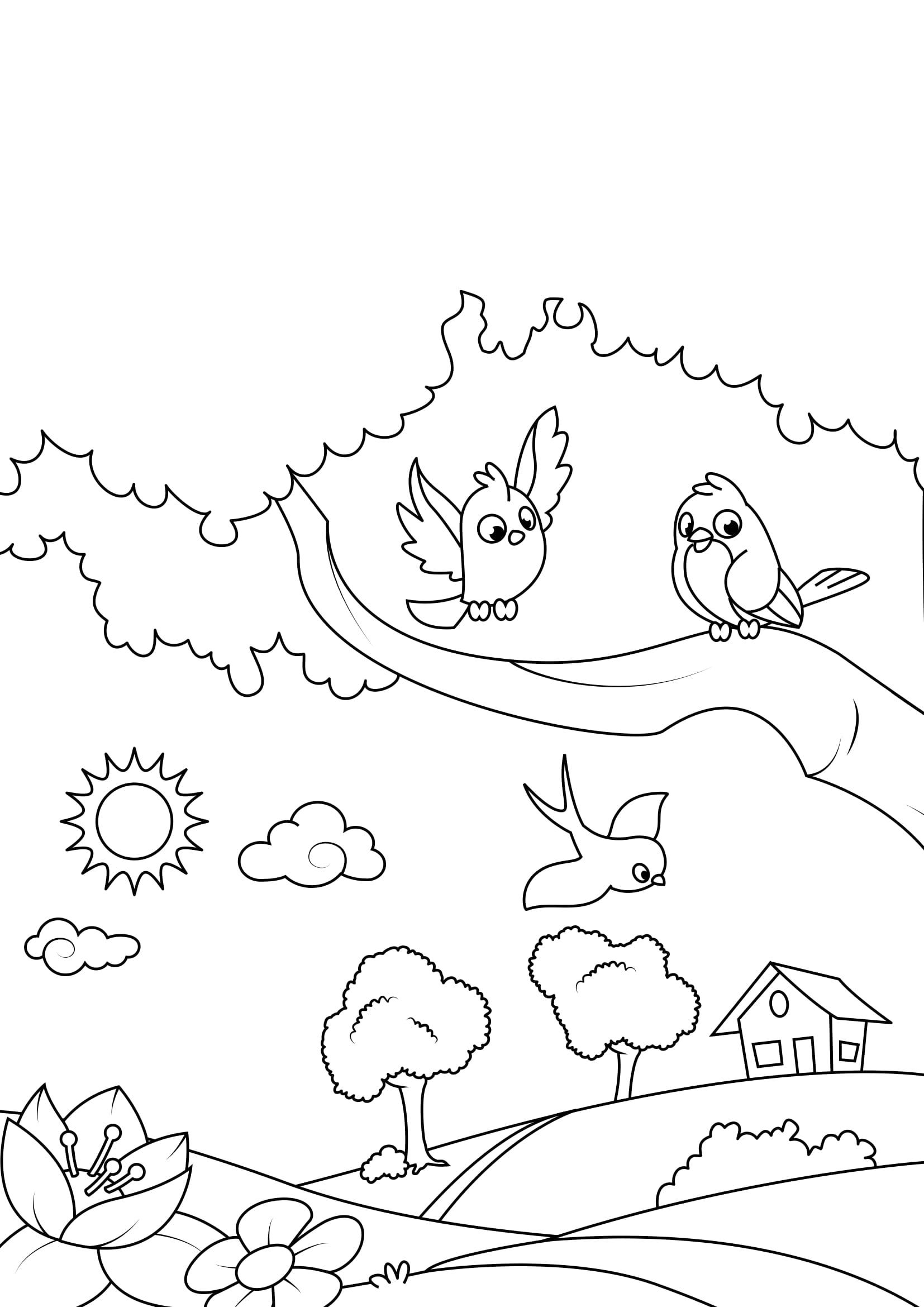 primavera, uccelli in giardino Disegno da colorare primavera, uccelli in giardino