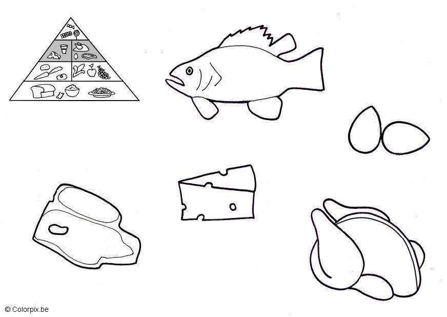 Disegno da colorare prodotti di origine animali