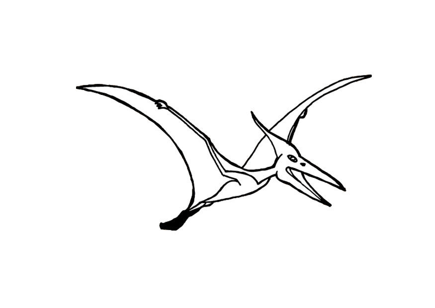Disegno da colorare pterosauro