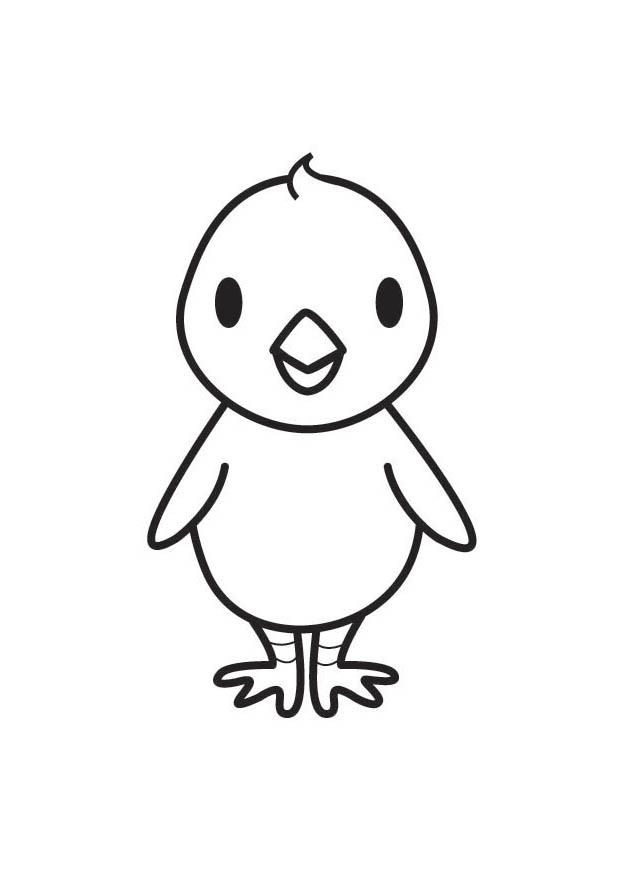 pulcino Disegno da colorare pulcino