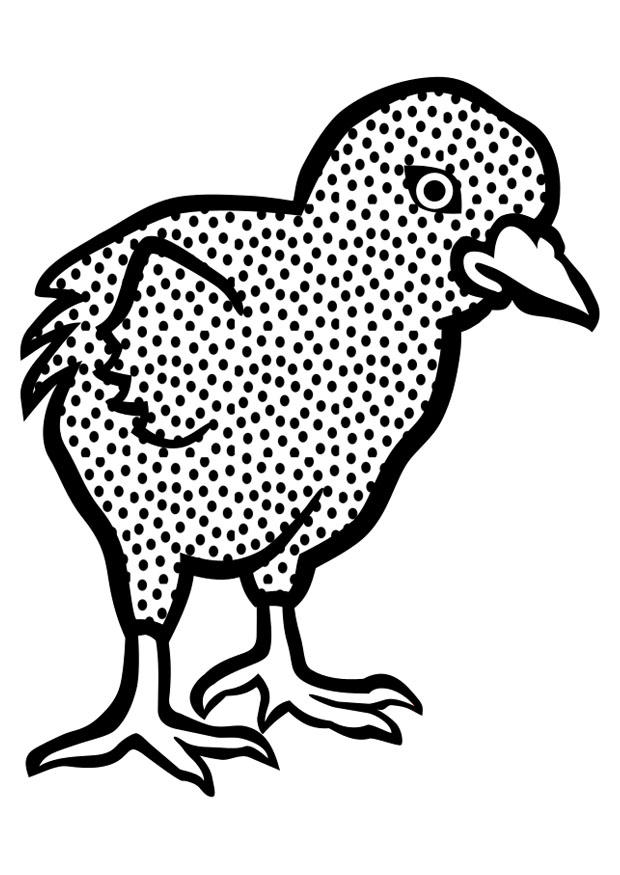 pulcino Disegno da colorare pulcino
