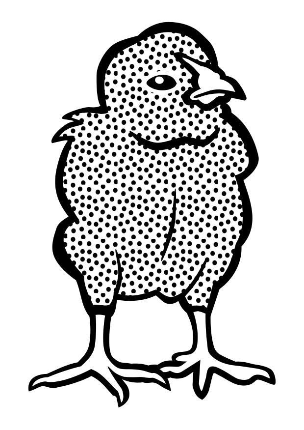pulcino Disegno da colorare pulcino