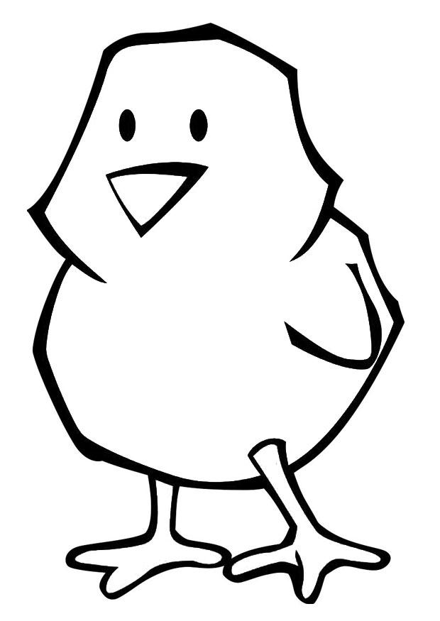 pulcino - pasqua Disegno da colorare pulcino - pasqua