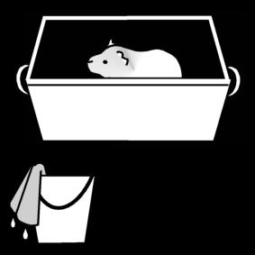 pulire la gabbia del cavia Disegno da colorare pulire la gabbia del cavia