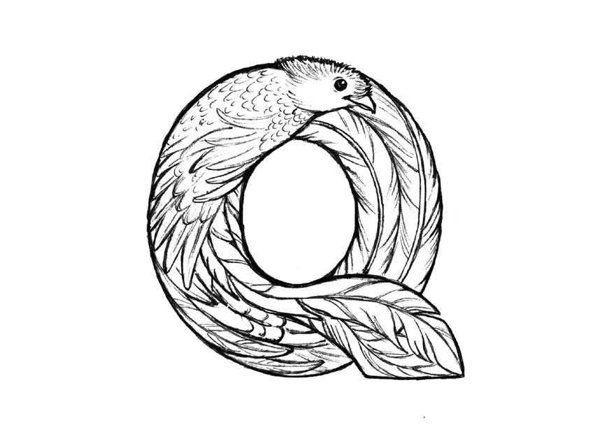 q-quetzal Disegno da colorare q-quetzal