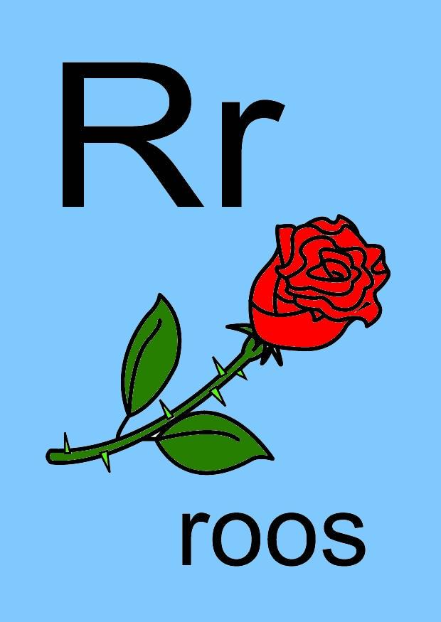 r immagine r