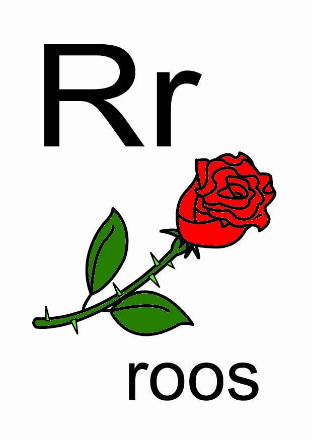 r immagine r
