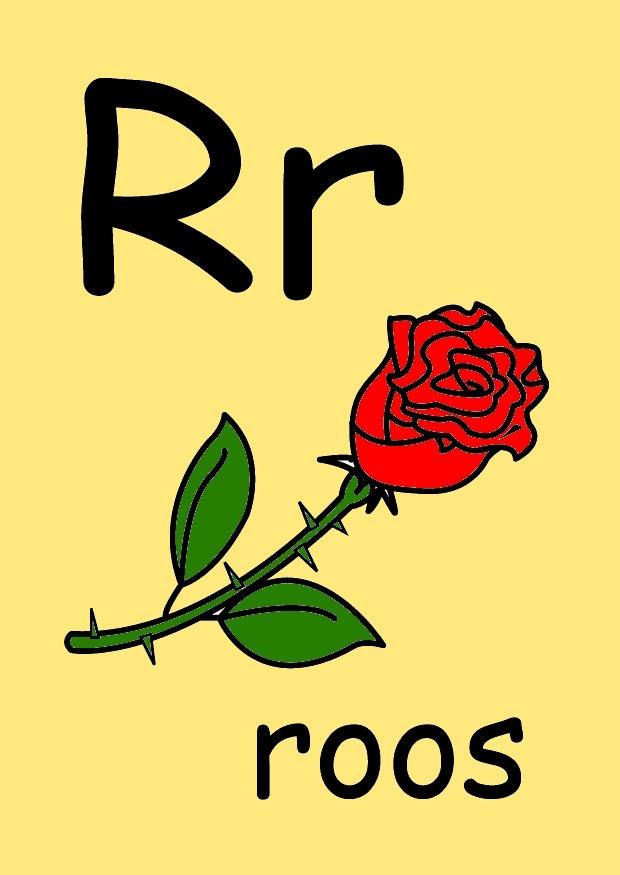 r immagine r