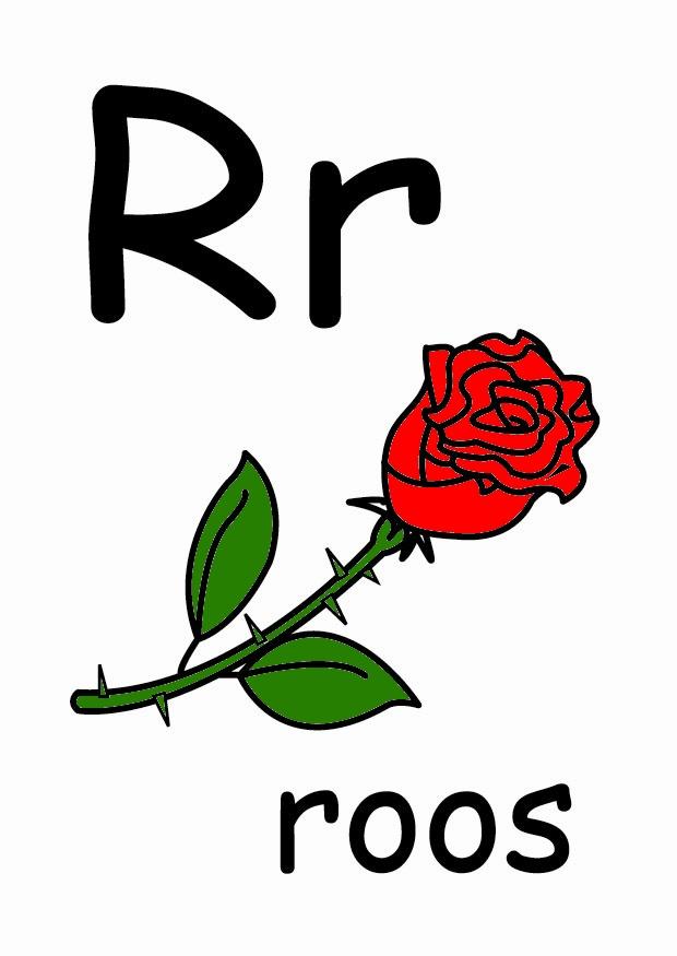 r immagine r