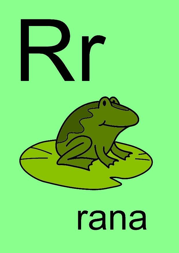 r immagine r
