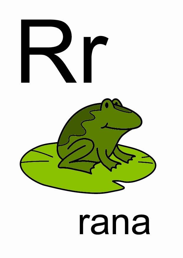r immagine r