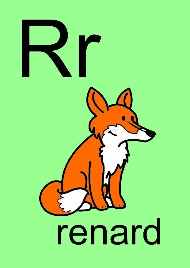 r immagine r