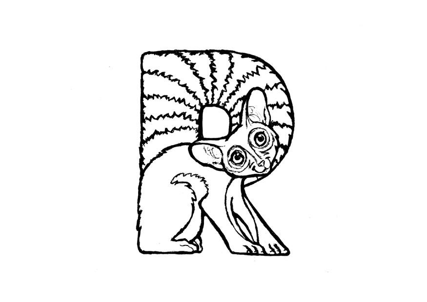 r-ringtail Disegno da colorare r-ringtail
