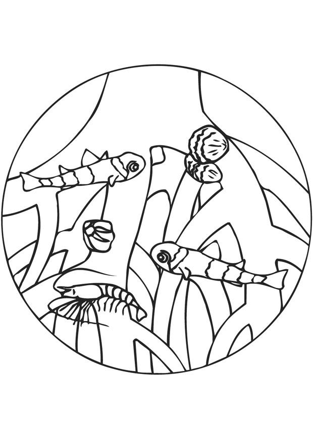 radici mangrovie Disegno da colorare radici mangrovie