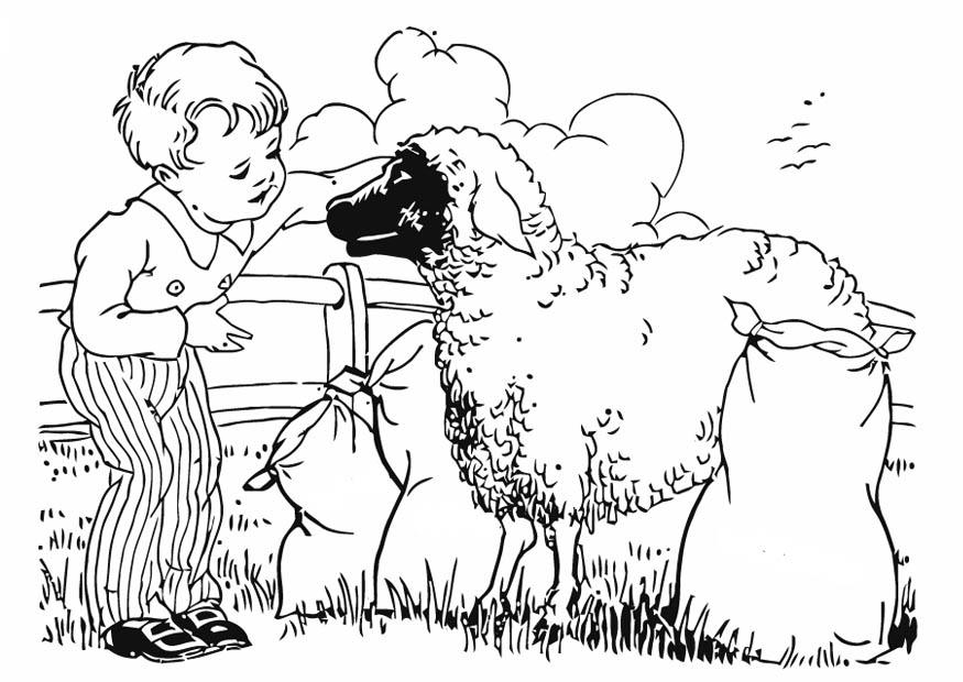 ragazzo con pecora Disegno da colorare ragazzo con pecora