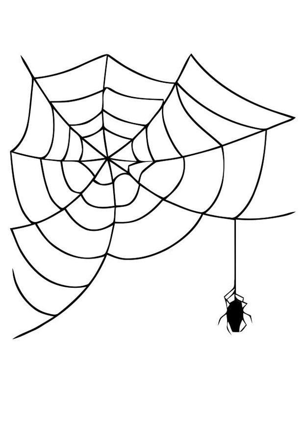 ragno e tela Disegno da colorare ragno e tela