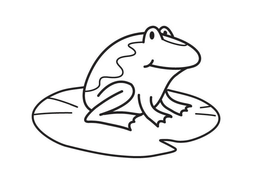 rana Disegno da colorare rana