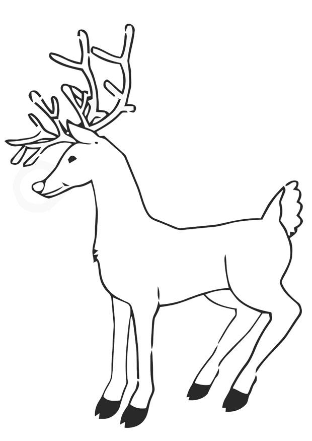 renna Disegno da colorare renna