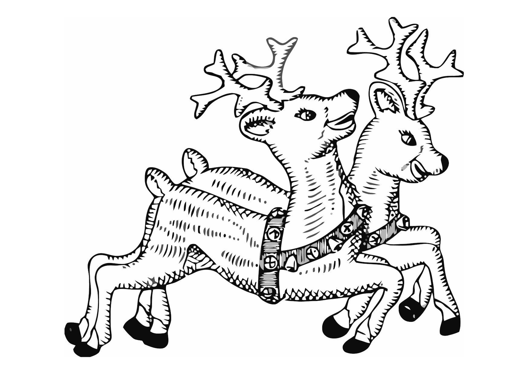 renne Disegno da colorare renne