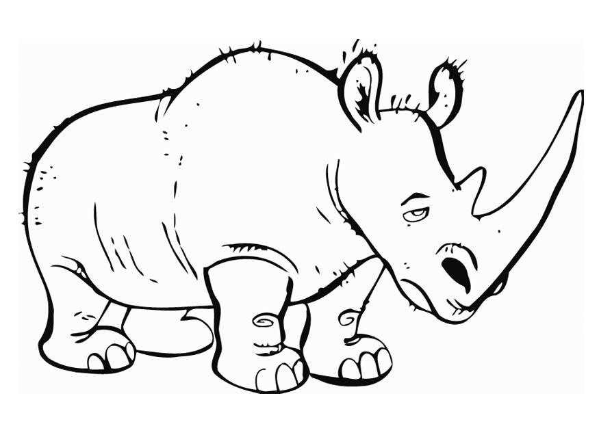rinoceronte Disegno da colorare rinoceronte