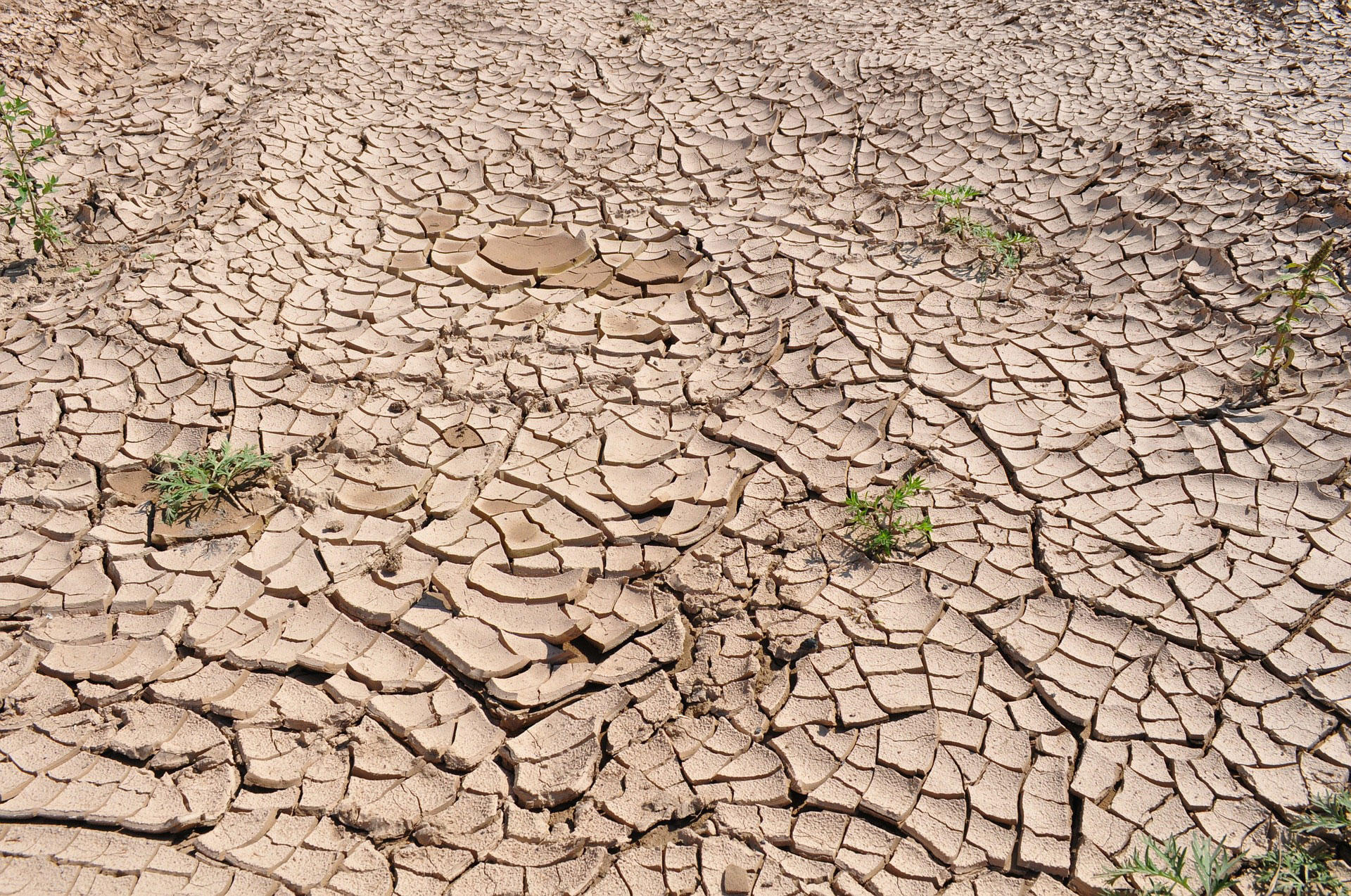 riscaldamento globale Foto riscaldamento globale