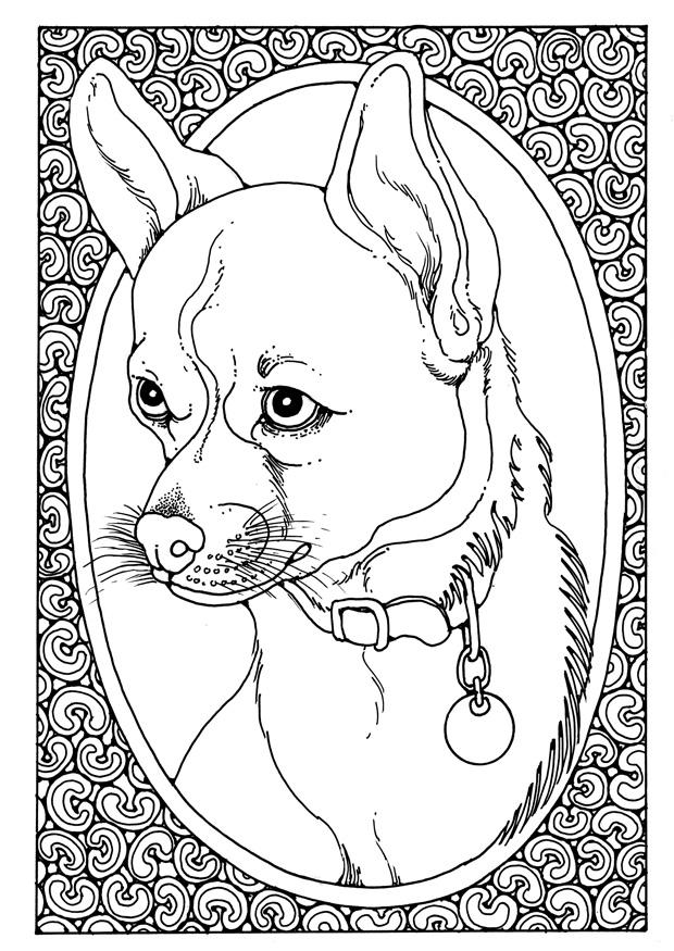 ritratto di cane Disegno da colorare ritratto di cane