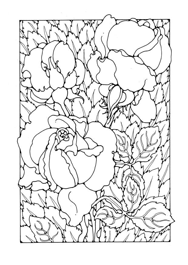 rose Disegno da colorare rose
