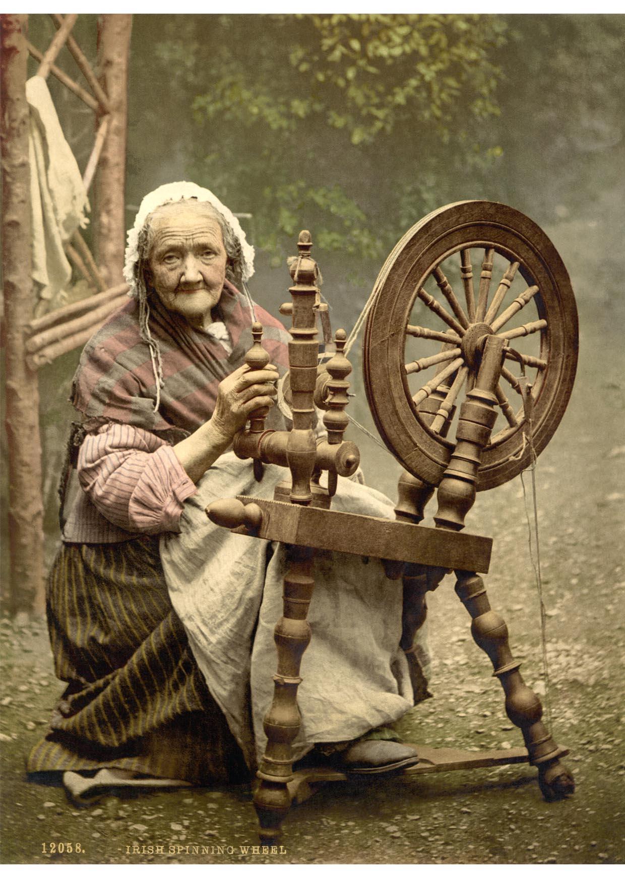 ruota Foto ruota