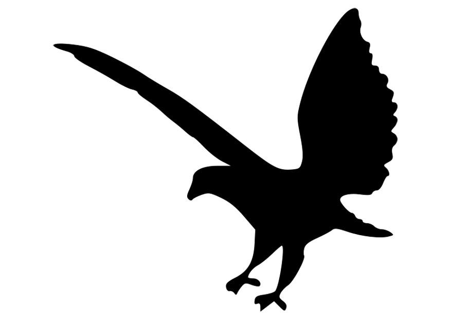 sagoma di aquila Disegno da colorare sagoma di aquila