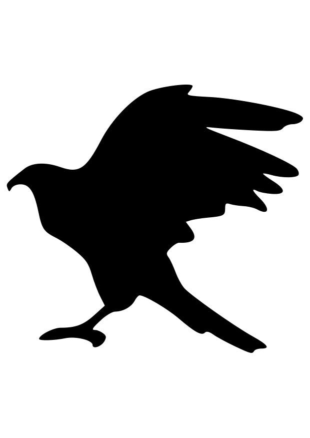 sagoma di aquila Disegno da colorare sagoma di aquila