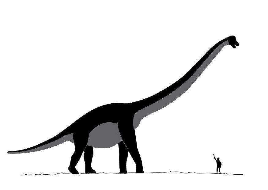 Disegno da colorare sauroposeidon