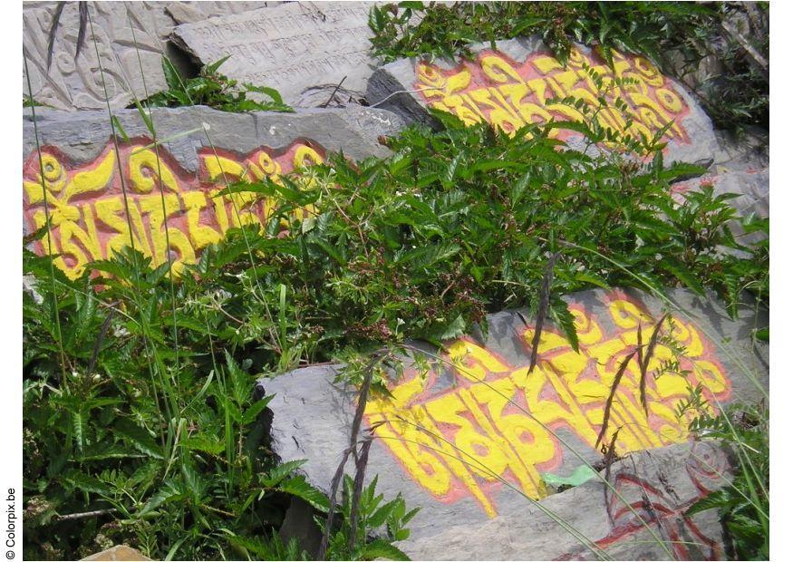 scritte sulla pietra Foto scritte sulla pietra