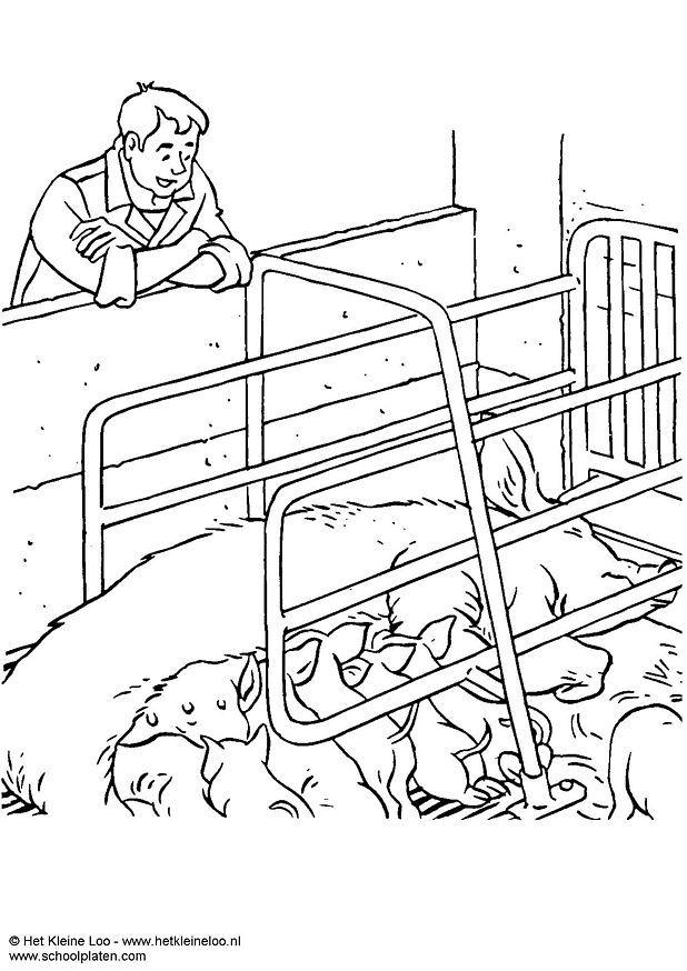 scrofa con piccoli Disegno da colorare scrofa con piccoli