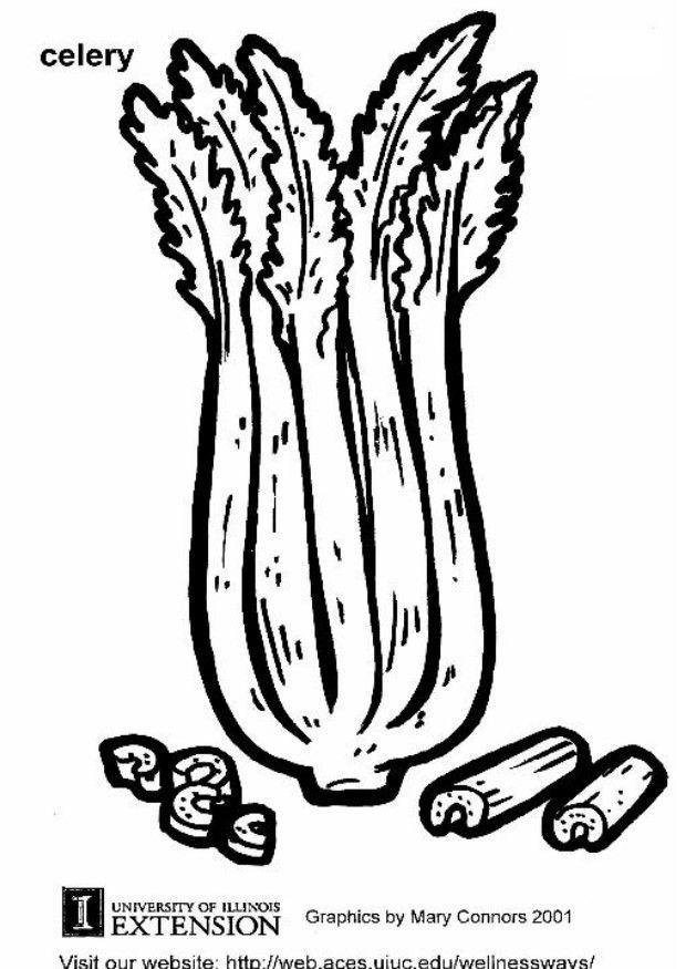 sedano Disegno da colorare sedano