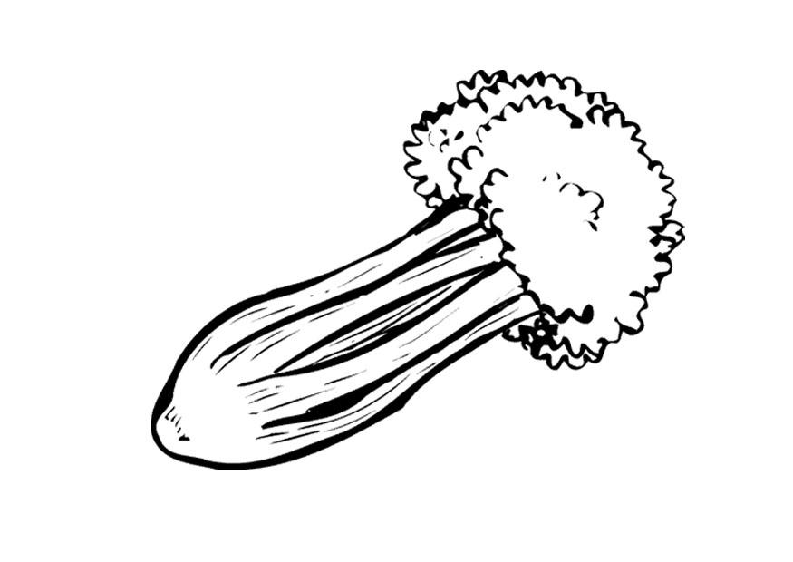 sedano Disegno da colorare sedano