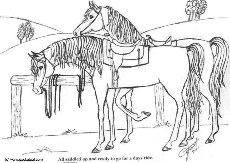 sellato Disegno da colorare sellato