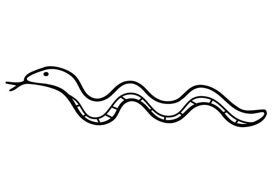 serpente Disegno da colorare serpente
