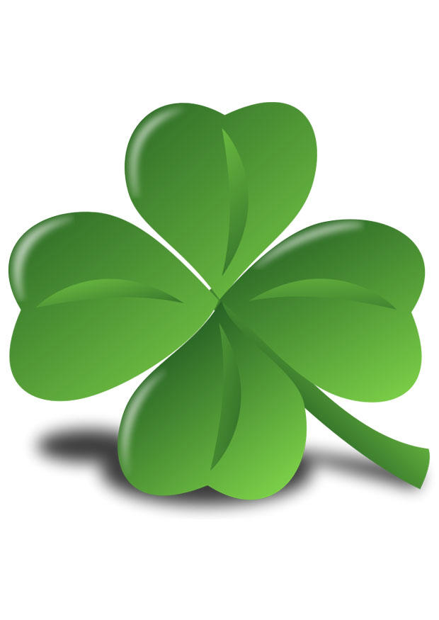 immagine shamrock